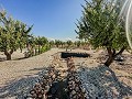 Atemberaubende Neubauvillen  in  Dream Villas Alicante