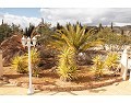 Lovely 3 Bed 2 Bath Villa, Pinoso. in  Dream Villas Alicante