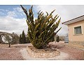 Lovely 3 Bed 2 Bath Villa, Pinoso. in  Dream Villas Alicante