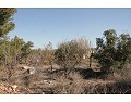 Casa de campo de 2 dormitorios y 1 baño en venta en Lel, Pinoso. in  Dream Villas Alicante