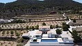 Prachtige villa met 5 slaapkamers en 6 badkamers in  Dream Villas Alicante
