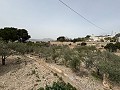 Grande maison de campagne à Salinetas, Petrer in  Dream Villas Alicante