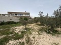 Grande maison de campagne à Salinetas, Petrer in  Dream Villas Alicante