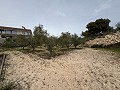 Grande maison de campagne à Salinetas, Petrer in  Dream Villas Alicante