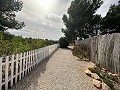 Privécamping met een huis met 4 slaapkamers in  Dream Villas Alicante