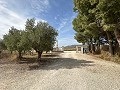 Privécamping met een huis met 4 slaapkamers in  Dream Villas Alicante