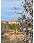 Preciosa casa de campo de 5 dormitorios y 4 baños en Raspay. in  Dream Villas Alicante