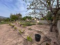 Gemütliches Landhaus mit Pool in Sax in  Dream Villas Alicante