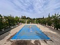 Gemütliches Landhaus mit Pool in Sax in  Dream Villas Alicante