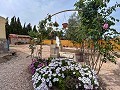 Gemütliches Landhaus mit Pool in Sax in  Dream Villas Alicante