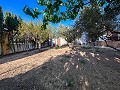 Maravillosa Casa de Campo de 4 Habitaciones en Monforte del Cid in  Dream Villas Alicante