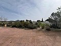  Country House in Sax in  Dream Villas Alicante