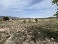  Country House in Sax in  Dream Villas Alicante