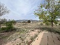  Country House in Sax in  Dream Villas Alicante
