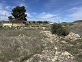 Prachtig stuk grond tussen La Romana en Hondon de las Nieves. in  Dream Villas Alicante