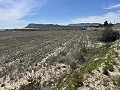 Prachtig stuk grond tussen La Romana en Hondon de las Nieves. in  Dream Villas Alicante