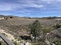 Prachtig stuk grond tussen La Romana en Hondon de las Nieves. in  Dream Villas Alicante