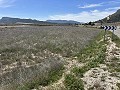 Prachtig stuk grond tussen La Romana en Hondon de las Nieves. in  Dream Villas Alicante