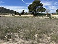 Prachtig stuk grond tussen La Romana en Hondon de las Nieves. in  Dream Villas Alicante