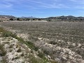 Prachtig stuk grond tussen La Romana en Hondon de las Nieves. in  Dream Villas Alicante