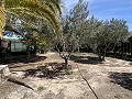 2 Bed 1 Bath Finca for sale in la Romana. in  Dream Villas Alicante