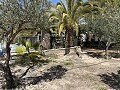 2 Bed 1 Bath Finca for sale in la Romana. in  Dream Villas Alicante