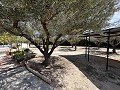 2 Bed 1 Bath Finca for sale in la Romana. in  Dream Villas Alicante