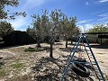 2 Bed 1 Bath Finca for sale in la Romana. in  Dream Villas Alicante