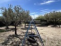 2 Bed 1 Bath Finca for sale in la Romana. in  Dream Villas Alicante