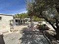 2 Bed 1 Bath Finca for sale in la Romana. in  Dream Villas Alicante