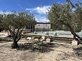 2 Bed 1 Bath Finca for sale in la Romana. in  Dream Villas Alicante