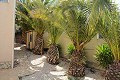 Lovely 3 Bed 3 Bath Villa in Hondon de las Nieves. in  Dream Villas Alicante