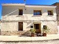 CountryHouse in Pinoso in  Dream Villas Alicante