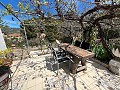 Hübsches Landhaus in  Dream Villas Alicante