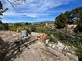 Hübsches Landhaus in  Dream Villas Alicante
