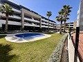 Penthouse de 2 chambres à Playa Flamenca in  Dream Villas Alicante