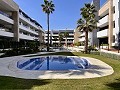 Penthouse de 2 chambres à Playa Flamenca in  Dream Villas Alicante