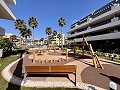 Penthouse de 2 chambres à Playa Flamenca in  Dream Villas Alicante