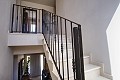 Prachtige villa met 4 slaapkamers en 3 badkamers in Pinoso. (Vaste prijs) in  Dream Villas Alicante