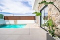 Lux villa in Roldan in  Dream Villas Alicante