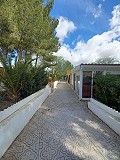 Preciosa villa de 5 dormitorios y 1 baño cerca de la ciudad de Sax in  Dream Villas Alicante