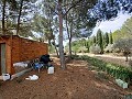 Preciosa villa de 5 dormitorios y 1 baño cerca de la ciudad de Sax in  Dream Villas Alicante
