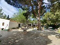 Preciosa villa de 5 dormitorios y 1 baño cerca de la ciudad de Sax in  Dream Villas Alicante