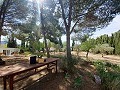 Preciosa villa de 5 dormitorios y 1 baño cerca de la ciudad de Sax in  Dream Villas Alicante