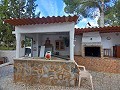 Preciosa villa de 5 dormitorios y 1 baño cerca de la ciudad de Sax in  Dream Villas Alicante
