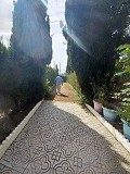 Preciosa villa de 5 dormitorios y 1 baño cerca de la ciudad de Sax in  Dream Villas Alicante