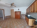 Preciosa villa de 5 dormitorios y 1 baño cerca de la ciudad de Sax in  Dream Villas Alicante