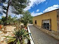 Preciosa villa de 5 dormitorios y 1 baño cerca de la ciudad de Sax in  Dream Villas Alicante