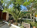 Preciosa villa de 5 dormitorios y 1 baño cerca de la ciudad de Sax in  Dream Villas Alicante
