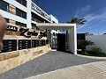 Penthouse de 2 chambres à Playa Flamenca in  Dream Villas Alicante
